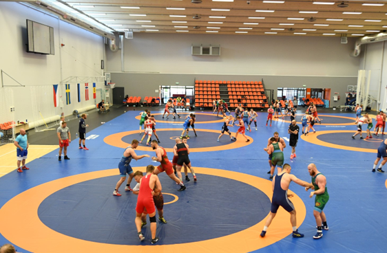 Wrestling Training Camp at The Wrestling Factory (Nov 1-3)